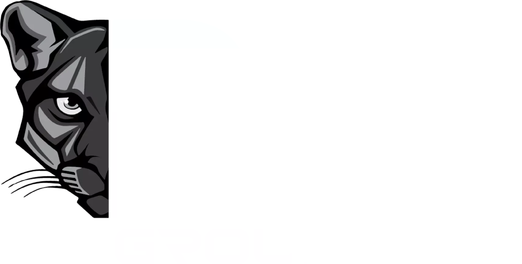 PanthersGroup